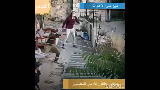 مستوطنون يطلقون النار على فلسطينيين بحي الشيخ الجراح