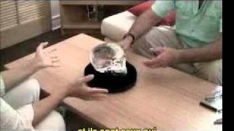 FR Bill Homann et le Crâne de Cristal de Mitchell Hedges (Oct. 2008)