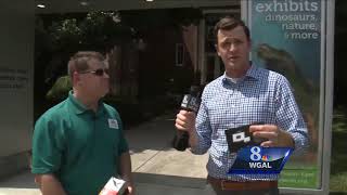 Watch This: Safe ways to view the solar eclipse