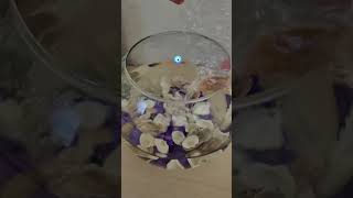 my shylaa 😍🧡 yeni balığımla tanışınn #mybaby #fish