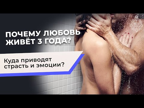 Почему любовь живёт три года? И куда приводят страсть и эмоции