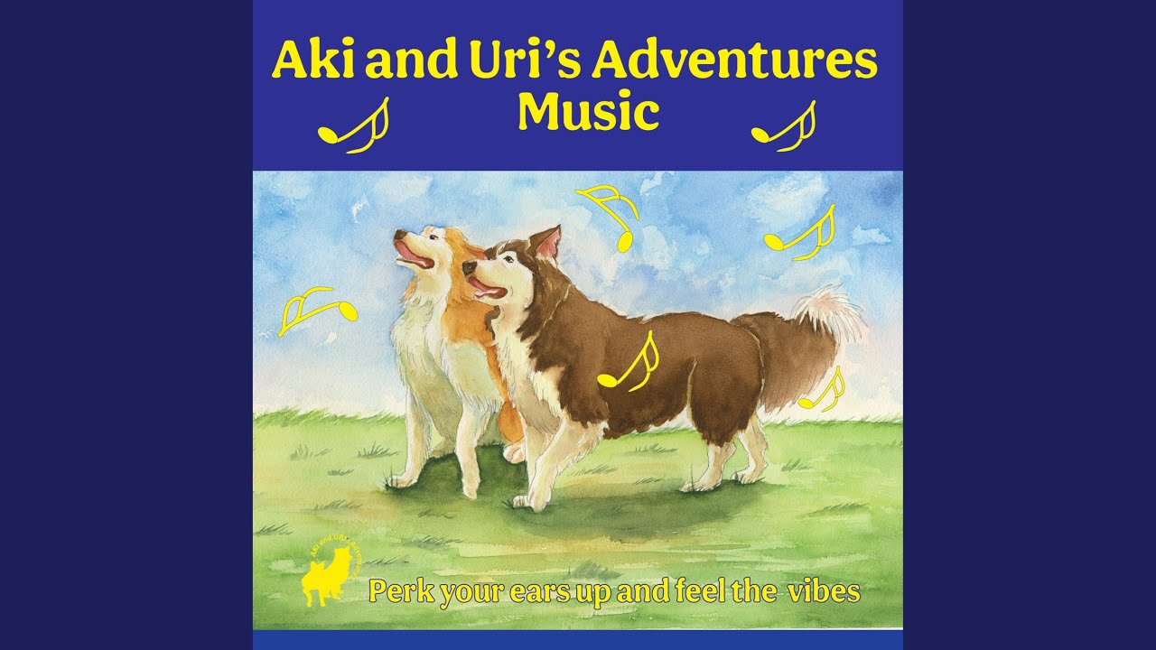 SPLASH, SPLASHING - YouTube