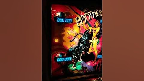 Gottlieb Panthera 2018