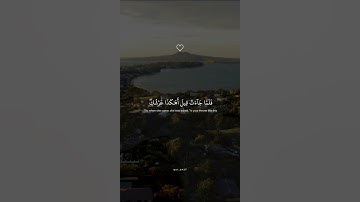 فَلَمَّا جَآءَتۡ قِيلَ أَهَٰكَذَا عَرۡشُكِۖ || القارئ اسلام صبحي تلاوة خاشعة وهادئة من سورة النمل.