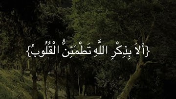 تلاوة قُرآن ١٠ دقائق بصوت عبد الرحمن مسعد 🤍