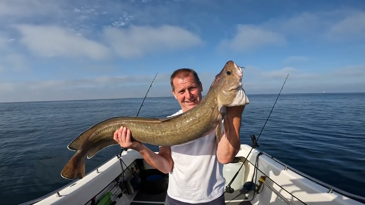 Fantastic day on the wrecks!