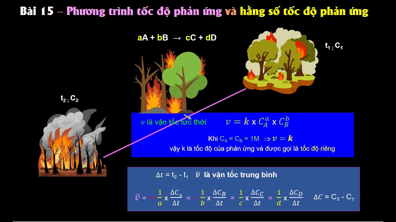 Bài 15 - phương trình tốc độ phản ứng và hằng số tốc độ phản ứng