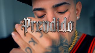 ECKO - Prendido (Freestyle) (Visualizer Oficial)