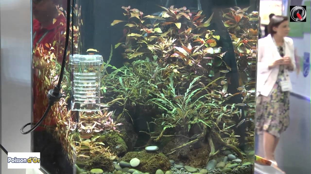 Interzoo 2016 Dennerle