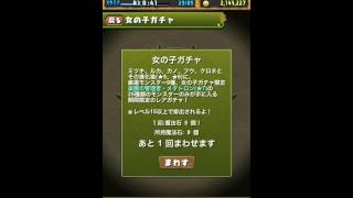 【無課金パズドラ】女の子ガチャを引いてみた＠20140811