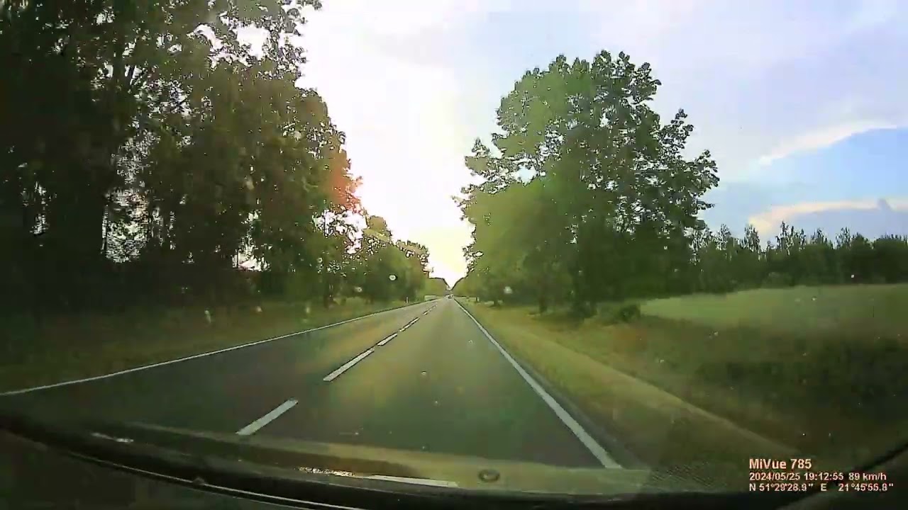 DW738 # Puławy Zachód - Słowiki x3.