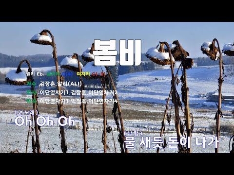 [은성 반주기] 봄비 - 김장훈.알리(ALI)