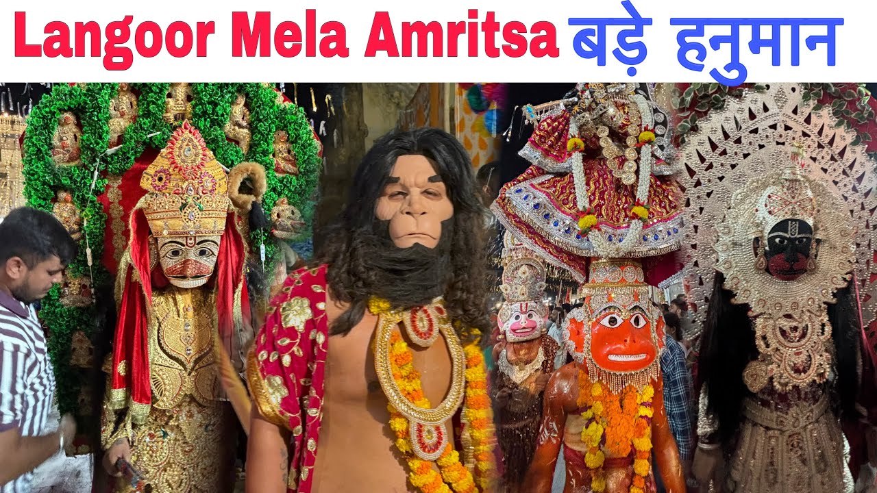 अमृतसर का लंगूर मेला 2025 | biggest Hanuman Swaroop | Durgiana Mandir 
