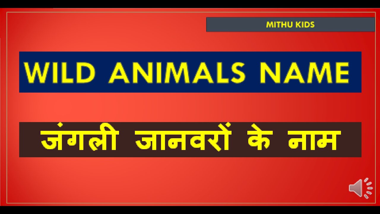 Wild animals name Hindi and English,जंगली जानवरों के नाम हिंदी में पढ़े