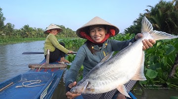 1063 / Giăng câu cá tra sông Cái Bé