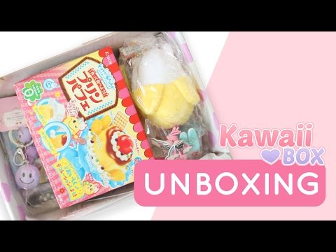 Unboxing Kawaii Box with my Sister!