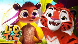 LEO and TIG   NEW  The Royal Aroma  Cartoon For Children  Moolt Kids Toons Happy Bear