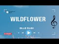 Billie Eilish WILDFLOWER Lyrics 