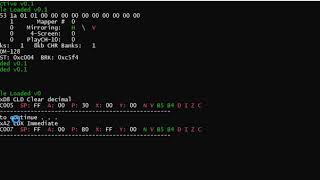 Infinite loop on nestest.nes rom