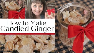 How to Make Candied Ginger- 12 Days of Dehydrating Dried Crystallized Ginger Chunks