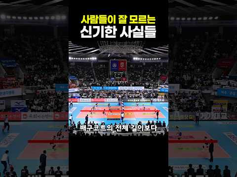 <strong>사람들이</strong> 잘 모르는 신기한 사실들