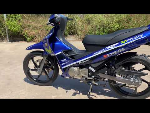 Video Trọng Nhân Xipo, Cá Mập Xanh Yaz Vẫy Đuôi Bơi Về Giang... - youtube