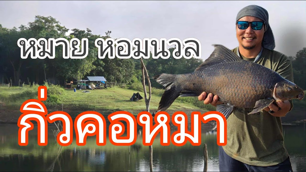 หมายหอมนวล ที่เขื่อนกิ่วคอหมา #โก๋เจ้าพระยา #fishing #camping