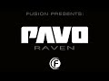 Pavo - Raven