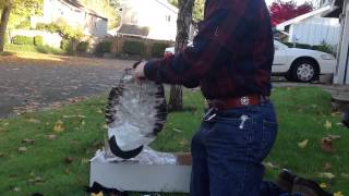 Unboxing deadly decoys Canada goose hybrids