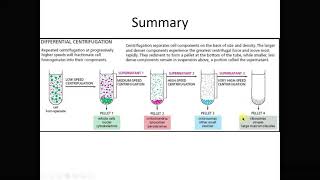 Cell fractionation and microscopes