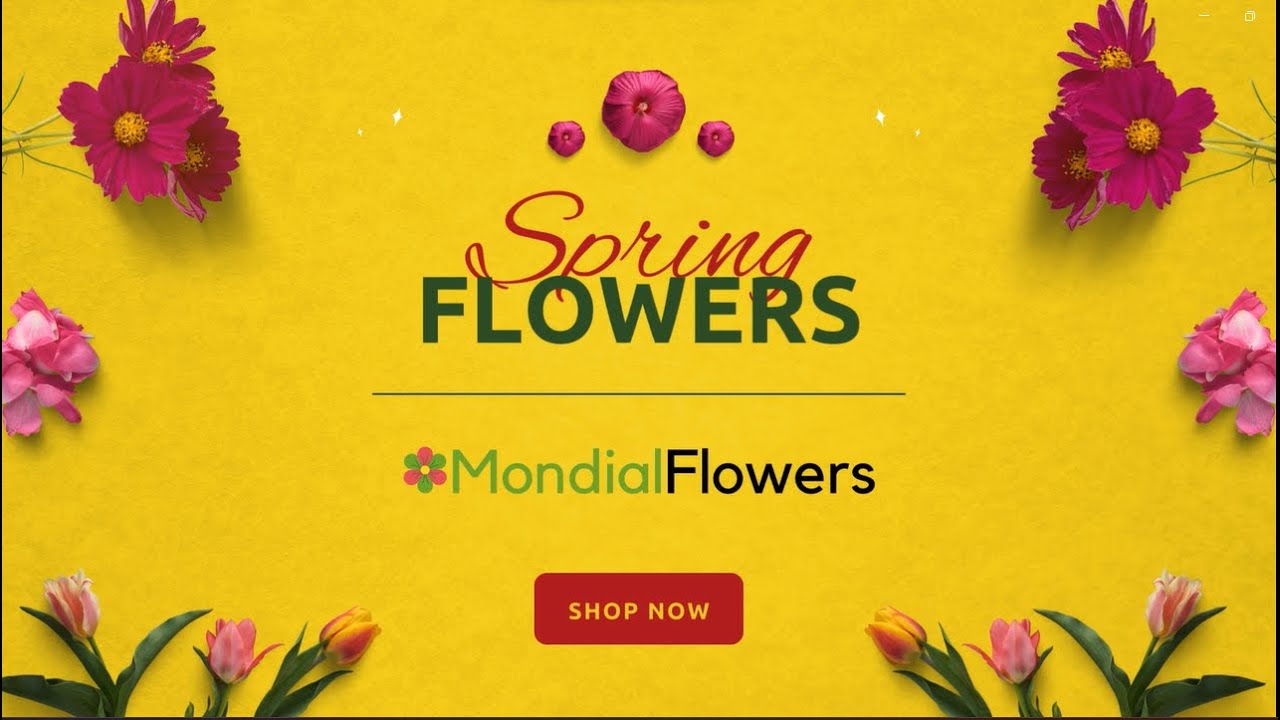 Spring Flowers 2024 at Mondial Flowers YouTube