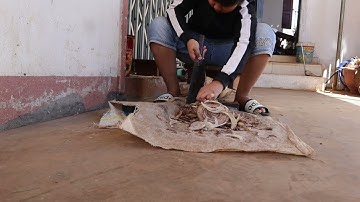 chuyên mục băm cây chuối cho ngỗng ăn