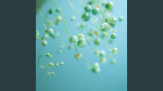 Download Lagu Redeemer MP3