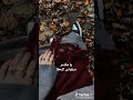 ياهيك الحلا يابلا اكسبلور Shortvideo اشتراك ياهيك الحلا يابلا اكسبلور Shortvideo اشتراك