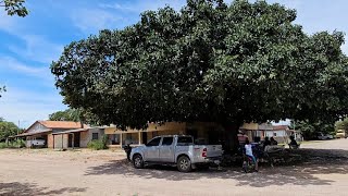 Um pequeno povoado bem distante no interior de Goiás  SÃO JOSÉ DA FAZENDINHA (RECANTÂO)#viralvideo
