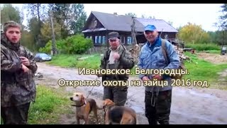 Открытие охоты на зайца . Открытие охоты на зайца .