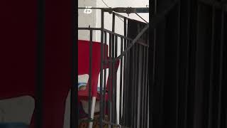 Investigan posible crimen machista en Arguedas; denuncia violencia en el teléfono 016.