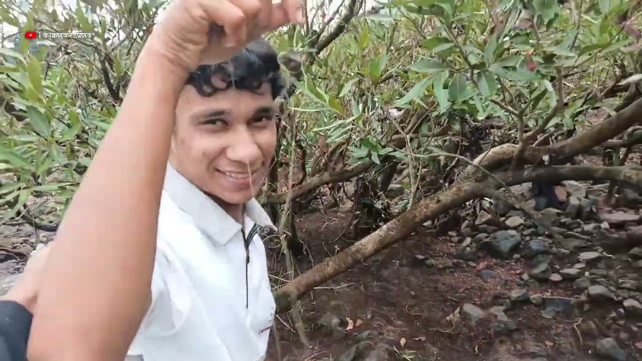 गरीला गांडूळ लाऊन पकडले मासे🎣🐟 , कोकणातील मासेमारी |