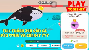 | Playtogether | Thử thách 24h săn cá voi đầu cong và cái kết ??😂🤩🤩