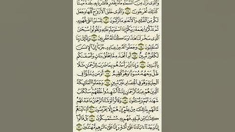 سورة الزخرف من الآية ١١ إلى الآية ٢٢بصوت القارئ ماهر المعيقلي