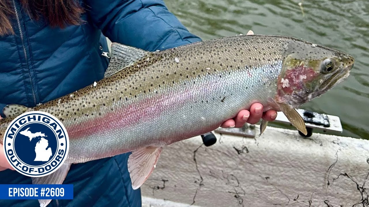 Steelhead Fishing, Rabbit Hunting; Michigan Out of Doors TV 