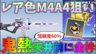 MTG 英語版 foil EXP 吹きさらしの荒野