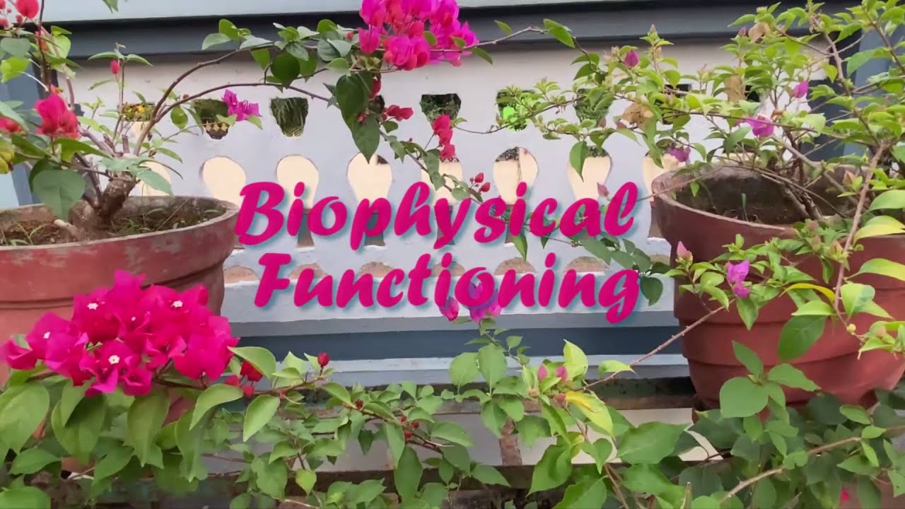 Social Work | Assessing Biophysical Functioning | Documentary - YouTube