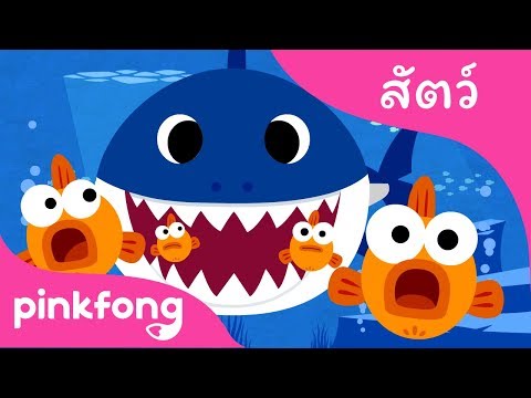 ลูกฉลาม | เพลงสัตว์ | พิ้งฟอง(Pinkfong) เพลงและนิทาน