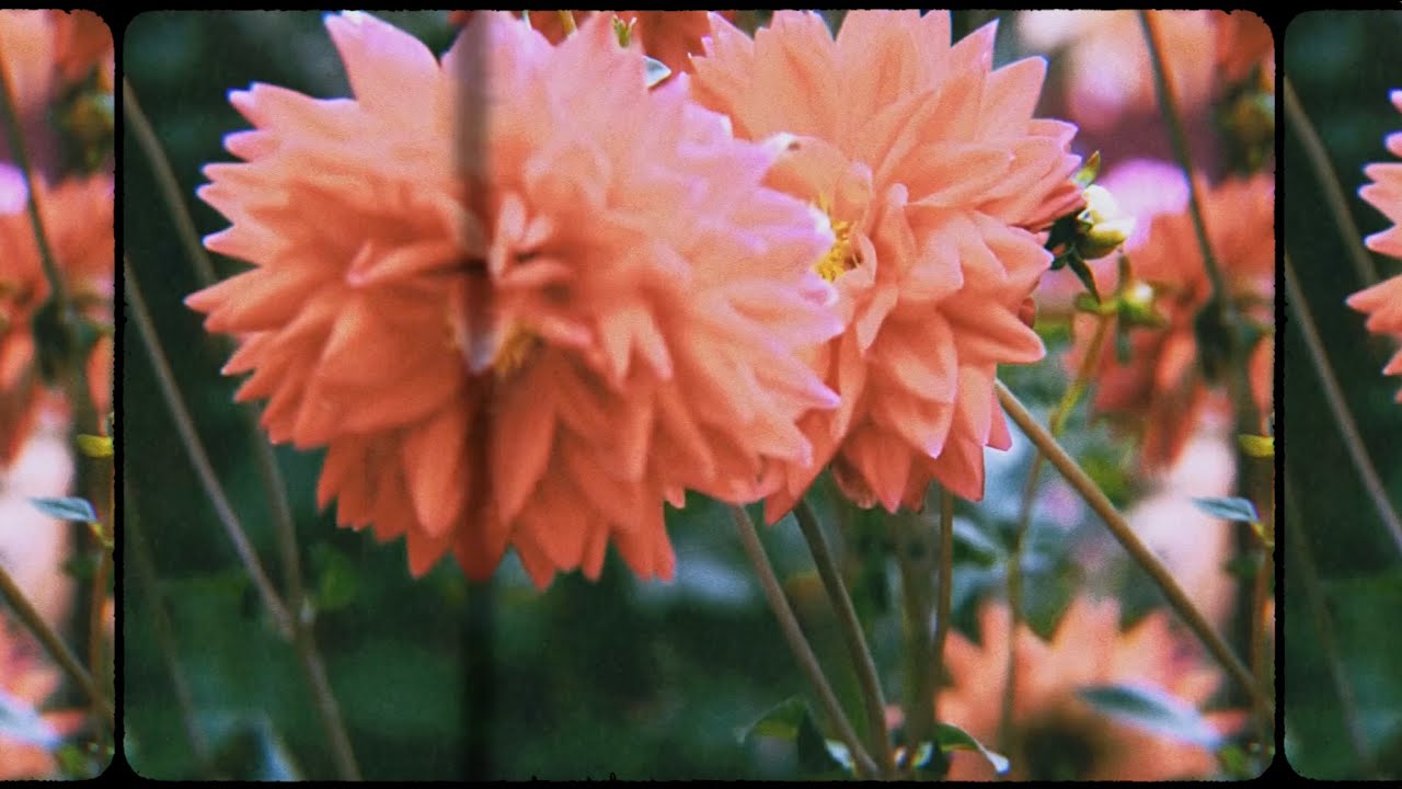 New [Lockdown Arrangement for Voice & Keys]