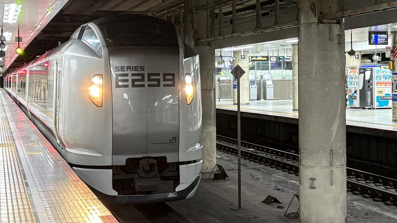 特急しおさい3号　銚子行き（総武本線経由）　E259系（Ne013編成）