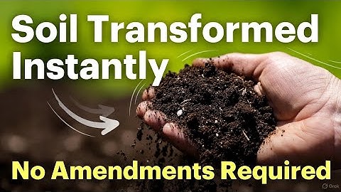 5 Soil Secrets That Fix Your Garden FAST (No Amendments Needed!)