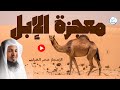 لماذا دعانا الله للنظر إلى خلق الإبل دروس في التصميم والإبداع الإلهي