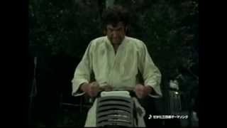 Segata Sanshiro Solo Crisis