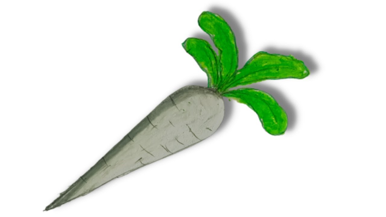How to draw radish How to draw radish in easy way How to draw